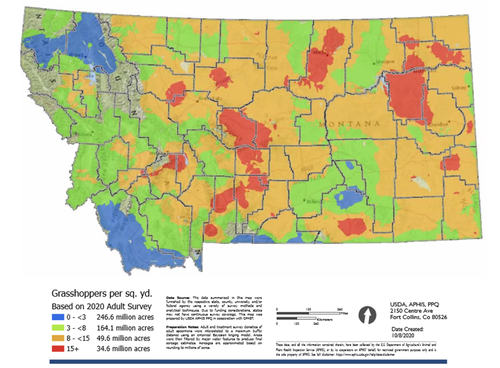 Figure 1. The USDA-APHIS Grasshopper Hazard Map for Montana, 2022.